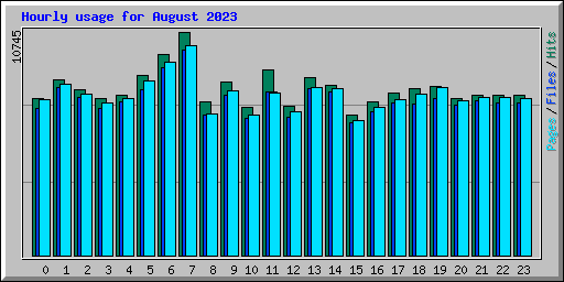 Hourly usage for August 2023