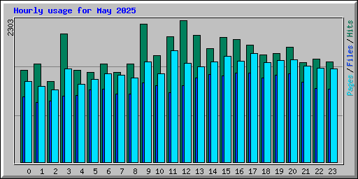Hourly usage for May 2025